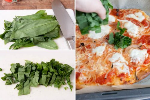 Bärlauchpizza – vanillakitchen