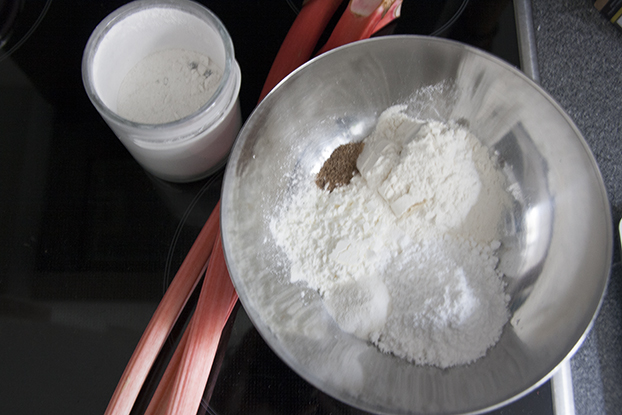 Frittierter Rhabarber mit Schokosauce – vanillakitchen
